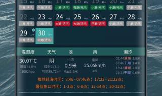 乳山7月赶海时间 2023年8月赶海时间表